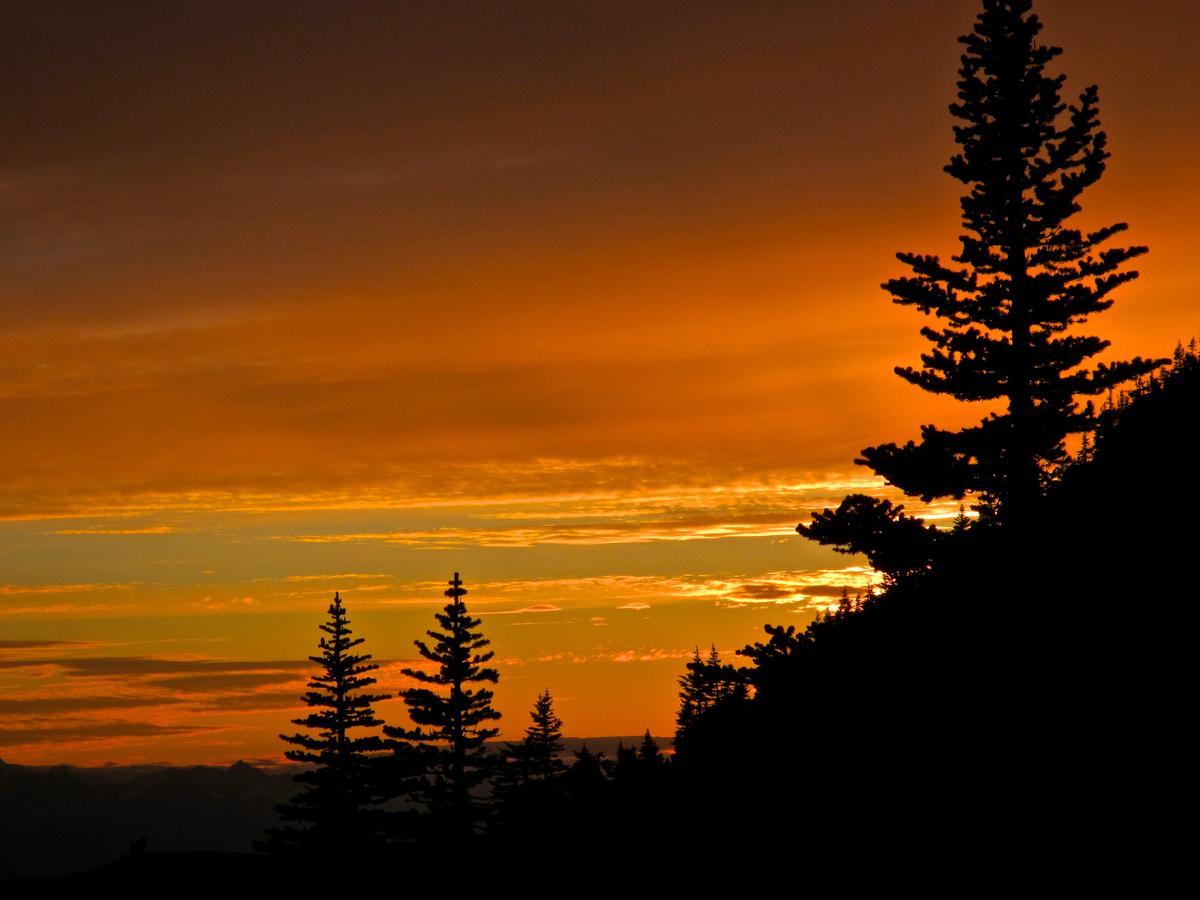 Bear Claw Lodge Kispiox Esterno foto